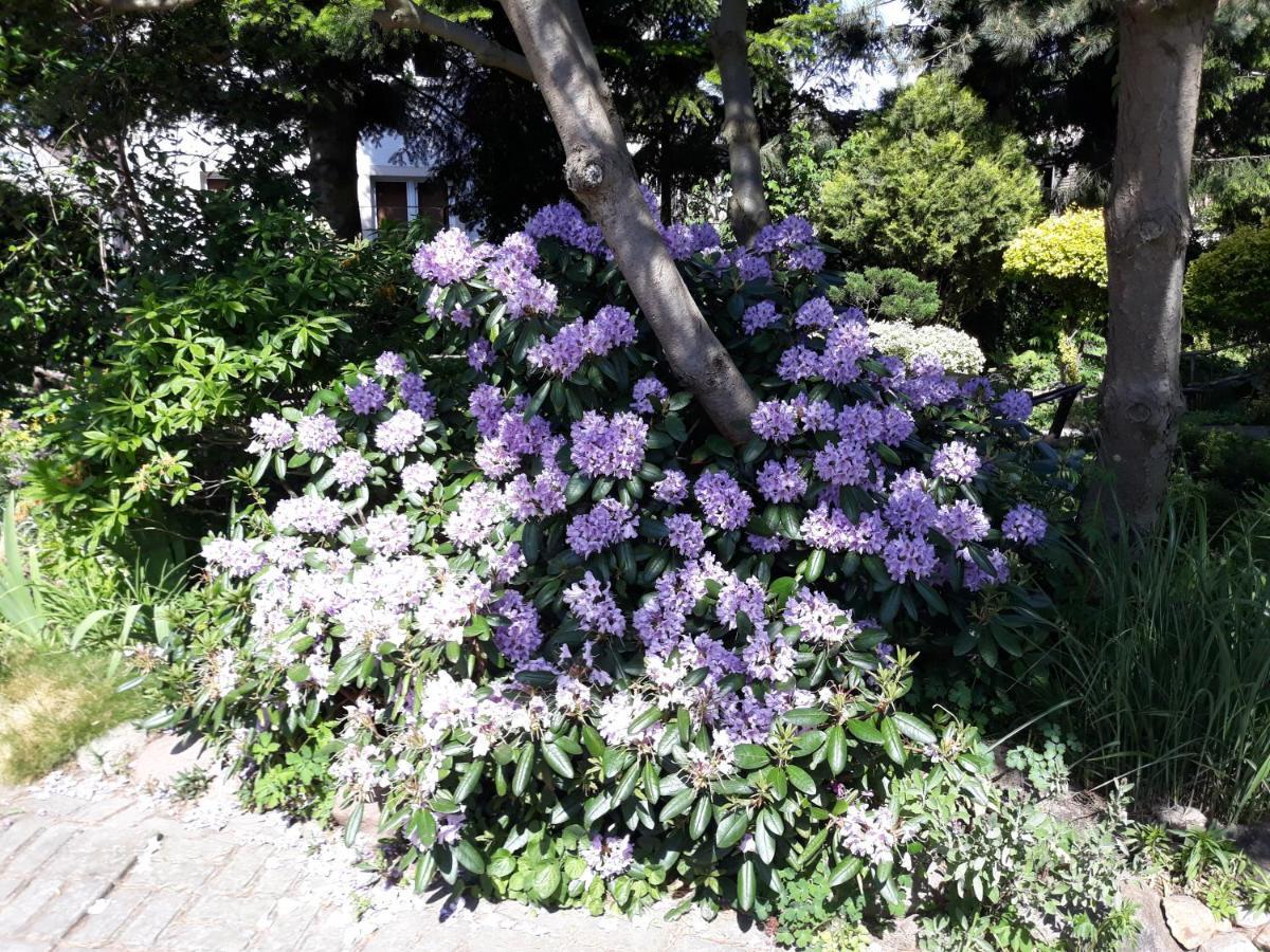 Villa Jaskolka Miedzyzdroje Luaran gambar